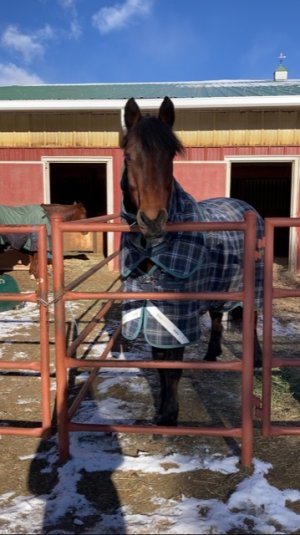 90AF014B-E26D-49FF-9E34-415649D59D25.jpeg 90AF014B-E26D-49FF-9E34-415649D59D25.jpeg