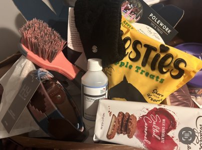 IMG_3288.jpeg IMG_3288.jpeg