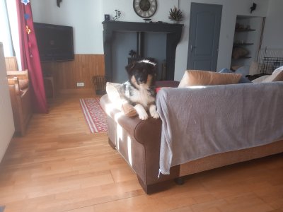 20240107_143410.jpg 20240107_143410.jpg