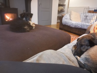 20240107_161153.jpg 20240107_161153.jpg