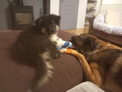 20240107_213331.jpg 20240107_213331.jpg