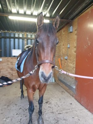 FB_IMG_1705098066340.jpg FB_IMG_1705098066340.jpg