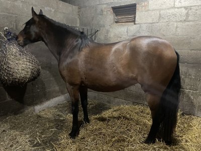 IMG_2271.jpeg IMG_2271.jpeg