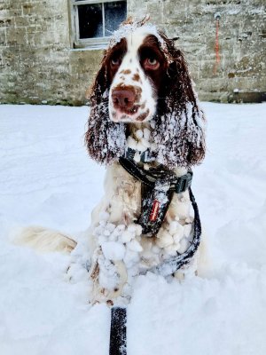 FB_IMG_1705420993853.jpg FB_IMG_1705420993853.jpg