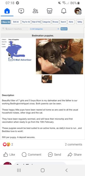 20240121_101823.jpg 20240121_101823.jpg