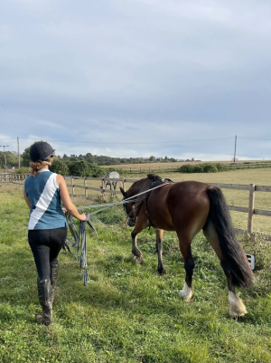 5F704870-736D-459D-8247-E55CCAF40344.png 5F704870-736D-459D-8247-E55CCAF40344.png