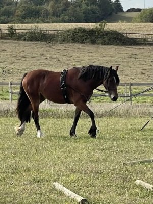 360E7024-1A2F-4ED5-A8AD-657DD19702DF.jpeg 360E7024-1A2F-4ED5-A8AD-657DD19702DF.jpeg