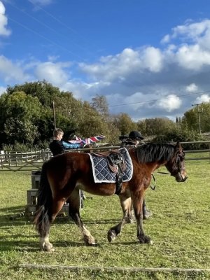 3713195A-1E57-431A-A628-6BD6115CB7C7.jpeg 3713195A-1E57-431A-A628-6BD6115CB7C7.jpeg