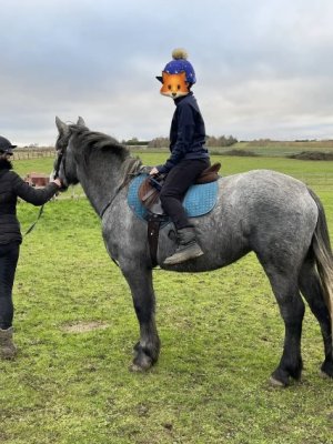 5B011EAC-0D53-402B-852C-28DBFA278736.jpeg 5B011EAC-0D53-402B-852C-28DBFA278736.jpeg