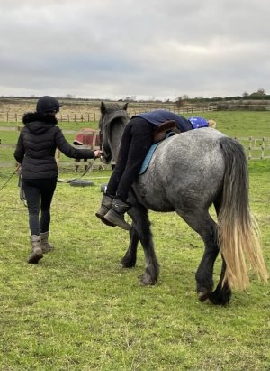 879C8191-CED2-4E49-B0F4-45E92AB2C759.jpeg 879C8191-CED2-4E49-B0F4-45E92AB2C759.jpeg