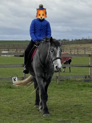 7A65279A-F593-4523-A5E6-58052DD8F909.jpeg 7A65279A-F593-4523-A5E6-58052DD8F909.jpeg