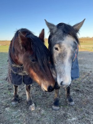 907C46D9-36FD-47DB-AEAD-29E6E930A95B.jpeg 907C46D9-36FD-47DB-AEAD-29E6E930A95B.jpeg