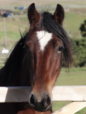 C9300EA2-473B-429D-8FF2-A0EA3BBC6C93.jpeg C9300EA2-473B-429D-8FF2-A0EA3BBC6C93.jpeg