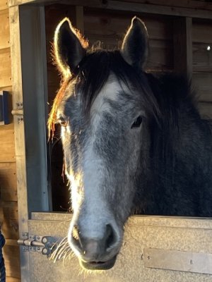 71A15055-528E-4B8C-BD06-5D8BA0D20D4C.jpeg 71A15055-528E-4B8C-BD06-5D8BA0D20D4C.jpeg