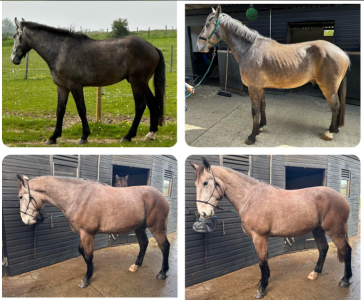 1706183121118.png 1706183121118.png