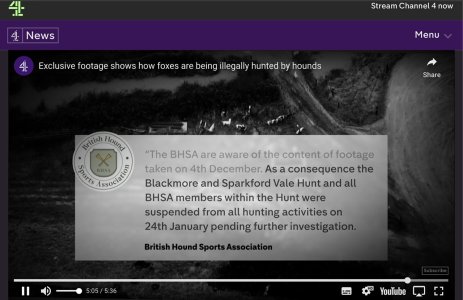 IMG_0567.jpeg IMG_0567.jpeg