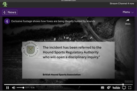 IMG_0568.jpeg IMG_0568.jpeg