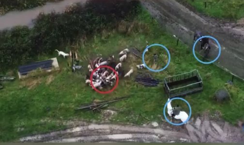 IMG_0569.jpeg IMG_0569.jpeg