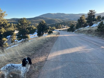 IMG_8034.jpeg IMG_8034.jpeg