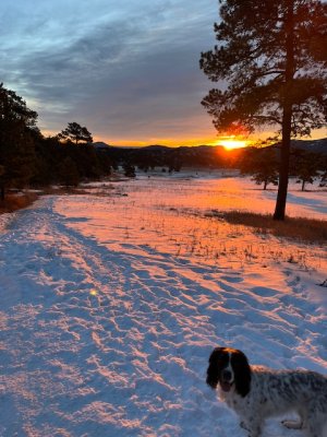 IMG_8016.jpeg IMG_8016.jpeg