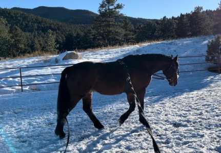 IMG_8077.jpeg IMG_8077.jpeg