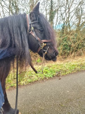 425363000_10225847652601986_3490850476072207276_n.jpg 425363000_10225847652601986_3490850476072207276_n.jpg