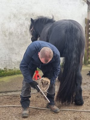 425513223_10225847690282928_3490156061004383046_n.jpg 425513223_10225847690282928_3490156061004383046_n.jpg