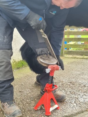 425545119_10225847690042922_8280857528819273791_n.jpg 425545119_10225847690042922_8280857528819273791_n.jpg