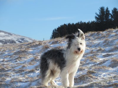 IMG_6638.jpeg IMG_6638.jpeg