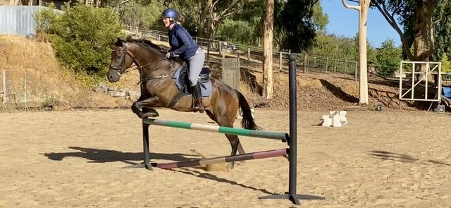 IMG_0812.jpeg IMG_0812.jpeg