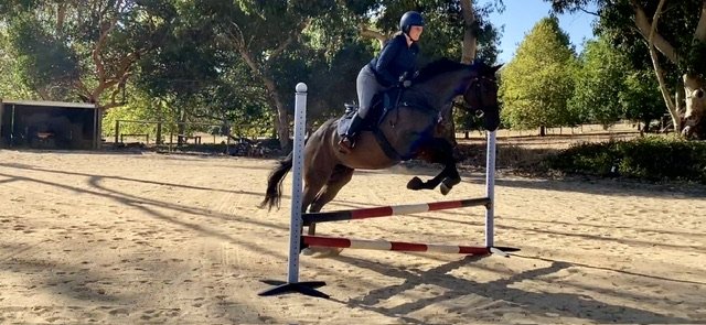 IMG_0810.jpeg IMG_0810.jpeg