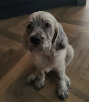 tempFileForShare_20240205-080453.jpg tempFileForShare_20240205-080453.jpg