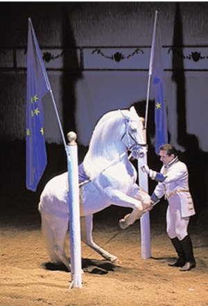 Screenshot_20240206_090942_Chrome.jpg Screenshot_20240206_090942_Chrome.jpg