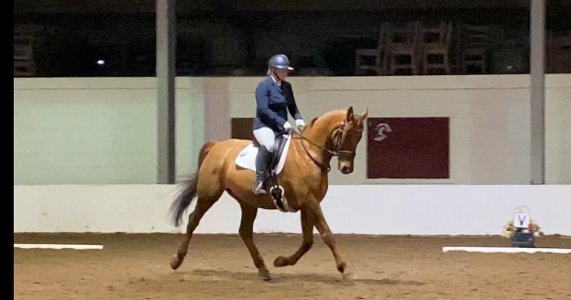 2275607A-02D0-4362-8D9B-930B050B4DA6.jpeg 2275607A-02D0-4362-8D9B-930B050B4DA6.jpeg