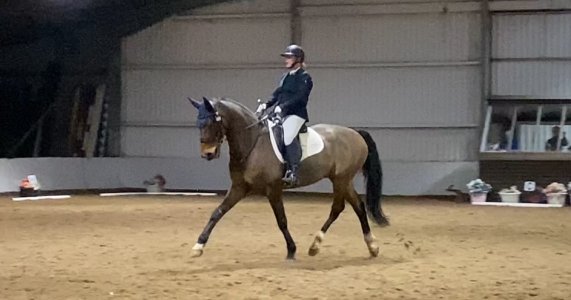 9531A6B8-9054-4485-9B4F-F90A36A9D016.jpeg 9531A6B8-9054-4485-9B4F-F90A36A9D016.jpeg