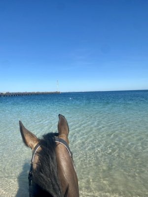 IMG_0848.jpeg IMG_0848.jpeg