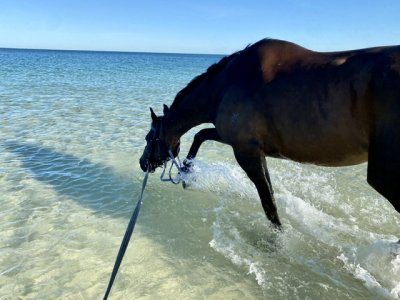 IMG_0830.jpeg IMG_0830.jpeg