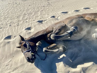 IMG_0855.jpeg IMG_0855.jpeg