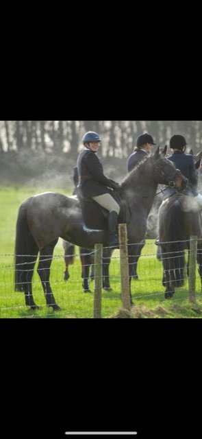 B5E074D7-6A33-46D0-91AF-82227DD86D39.jpeg B5E074D7-6A33-46D0-91AF-82227DD86D39.jpeg