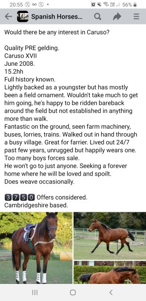 Screenshot_20240210-205521_Facebook.jpg Screenshot_20240210-205521_Facebook.jpg