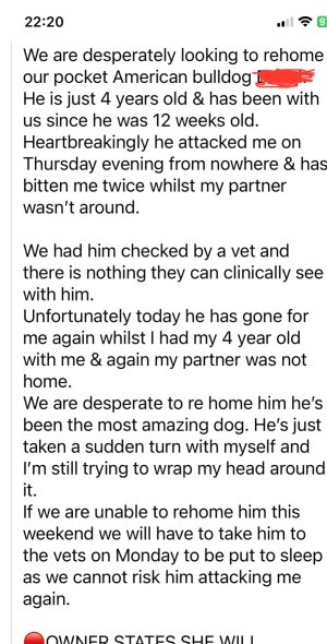 1707658002195.jpeg 1707658002195.jpeg