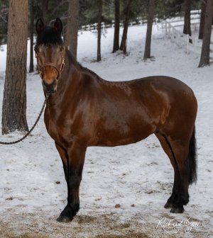 IMG_8230.jpeg IMG_8230.jpeg