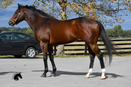 IMG_8254.jpeg IMG_8254.jpeg