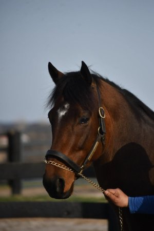 IMG_8255.jpeg IMG_8255.jpeg