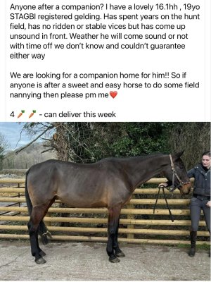 IMG_0633.jpeg IMG_0633.jpeg