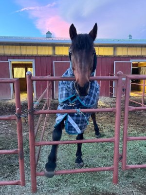 IMG_8270.jpeg IMG_8270.jpeg