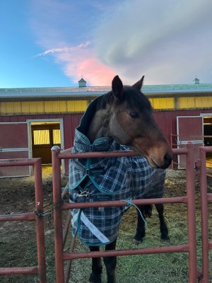 IMG_8269.jpeg IMG_8269.jpeg