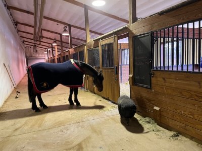 IMG_8264.jpeg IMG_8264.jpeg