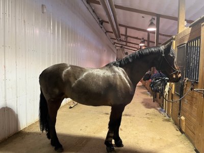 IMG_8266.jpeg IMG_8266.jpeg