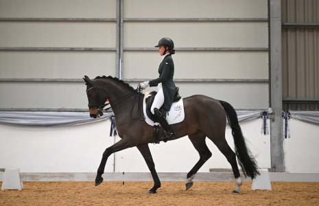 IMG_5805.jpeg IMG_5805.jpeg